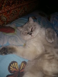 20150827_213641.jpg