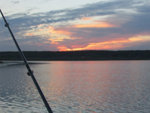 IMG_0670.JPG