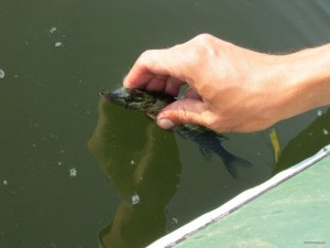 IMG_0679.JPG