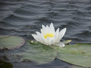 IMG_0688.JPG