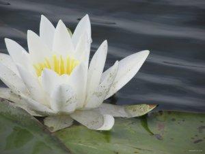 IMG_0694.JPG