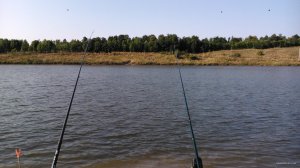 DSC_1014.jpg