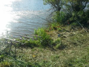 20150830_163455.jpg