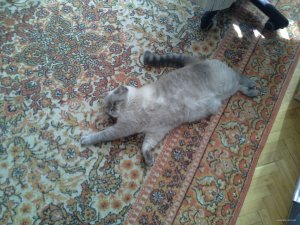 20150831_151036.jpg