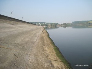 IMG_2814.JPG