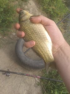 20150905_102455.jpg