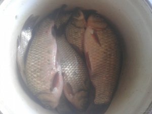 20150905_133206.jpg