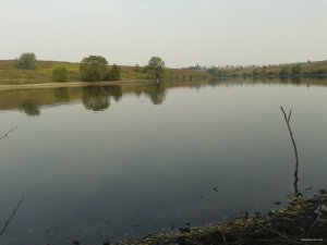 2015-09-05 08.32.14.jpg