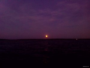 IMG_20150830_200302.jpg