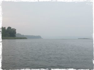 504.jpg