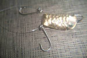 100_3024.JPG