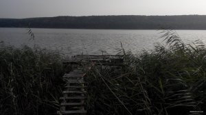 IMG_20150904_171854.jpg