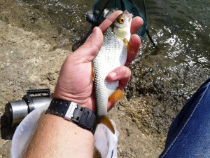 20150909_122643.jpg