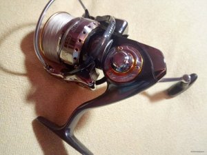 IMG_20150905_112612.jpg