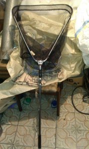 IMAG0407.jpg