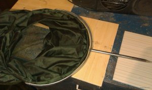IMAG0425.jpg