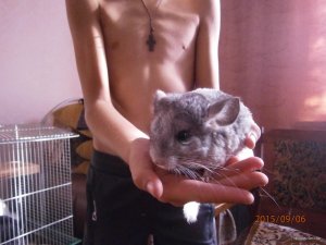 Изображение 183.jpg