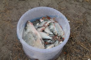 IMG_6049.JPG