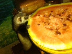 IMG_20150916_224158.jpg