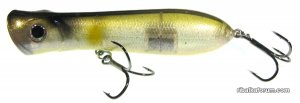 10432_big.jpg
