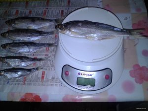 IMG_20150918_173533.jpg