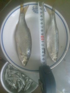 120120091008.jpg