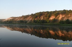 image (1).jpg
