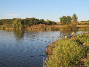 IMG_5611.JPG
