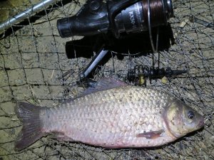 IMG_5625.JPG