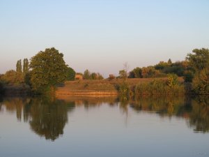 IMG_5627.JPG