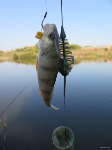IMG_5633.JPG
