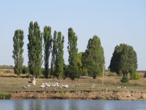IMG_5636.JPG
