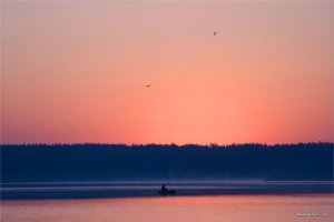 _MG_2134.jpg