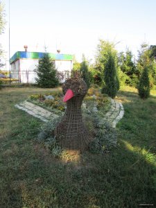 IMG_0792.JPG