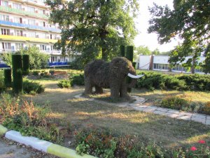 IMG_0790.JPG