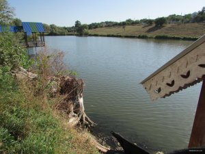 IMG_0777.JPG