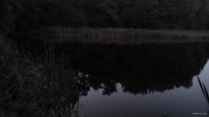 IMG_20150919_055919.jpg