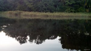IMG_20150919_061832.jpg