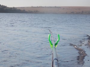 DSCN3873.JPG