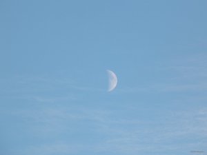 DSCN3892.JPG
