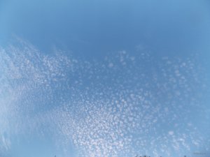 DSCN3893.JPG