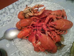 IMG_20150920_205955.jpg