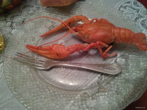 IMG_20150920_205945.jpg