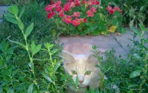 WP_20150831_024.jpg
