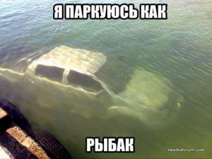 12027716_679461142190224_7242174269849332455_n.jpg
