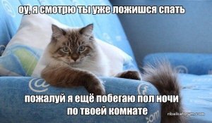 e6xVxOxO9V0.jpg