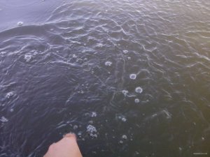 IMG_20150926_084249.jpg
