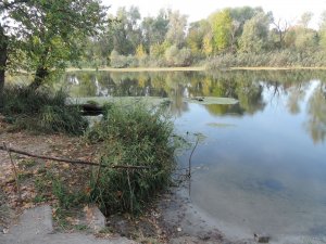 Гинеевка 28.09.2015.JPG