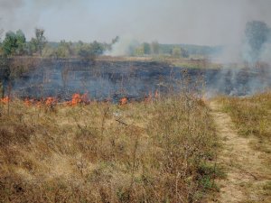 Гинеевка 28.09.2015 Пожар_10.jpg