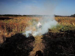 Гинеевка 28.09.2015 Пожар_09.jpg